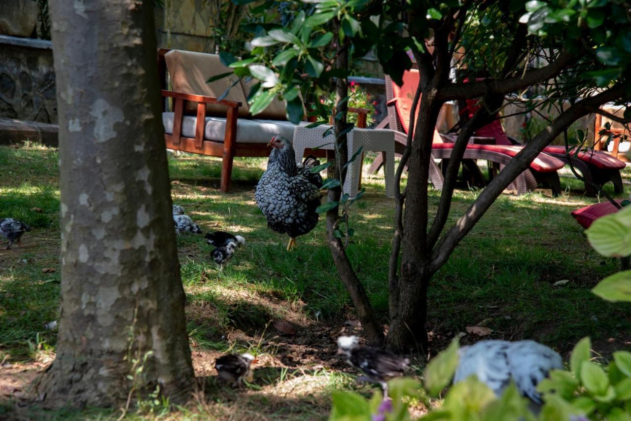 Motel Fener